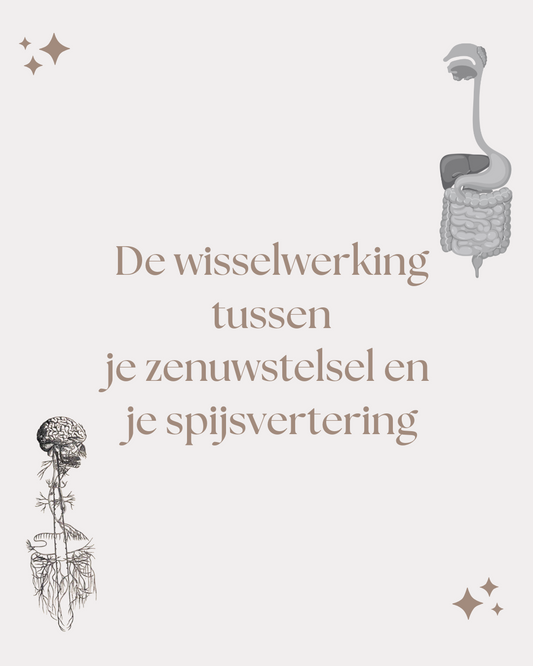 Zenuwstelsel vs spijsvertering