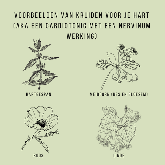 De link tussen je hart, je zenuwstelsel en je gemoed