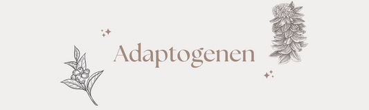 Adaptogenen kunnen versterken ... of net uitputten!