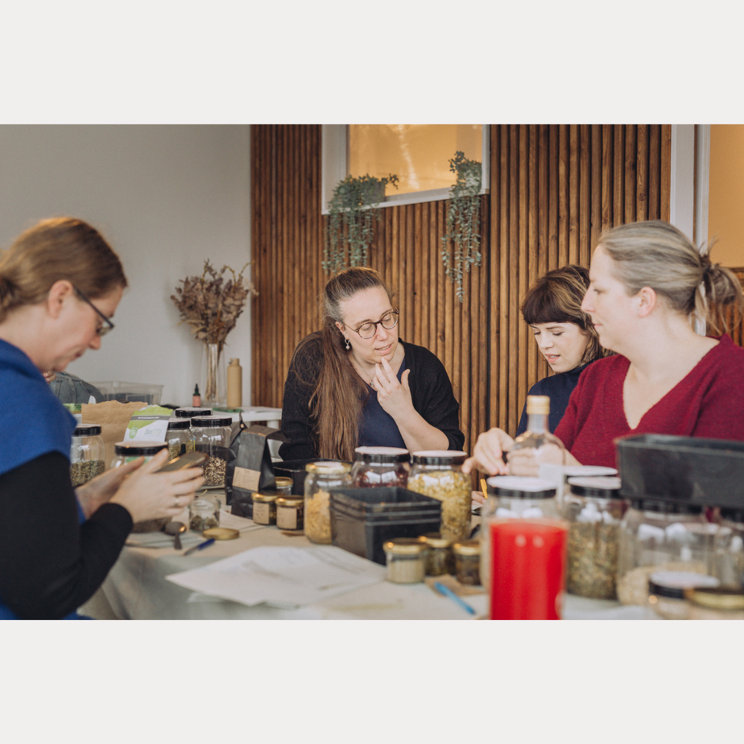 Herbs for the Nervous System - workshop - Sat 24/05/2025 - Zoersel