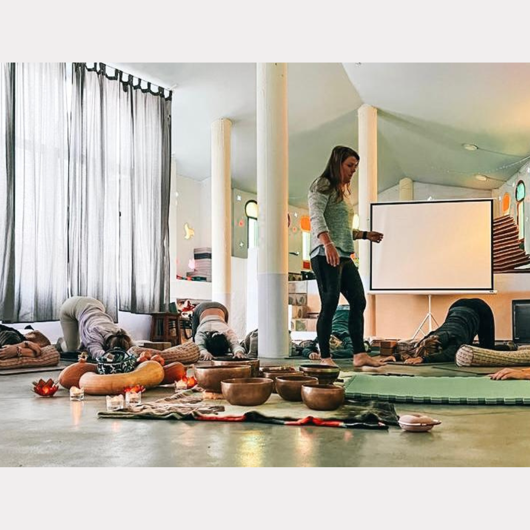 One day Retreat - Verwen je Nervus Vagus - 11/11/2023