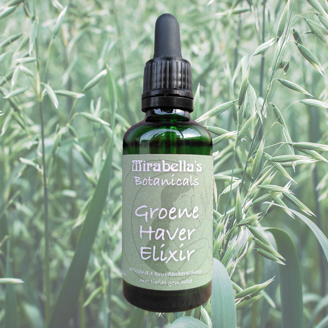 Green Oat Elixir (Milky Oats)