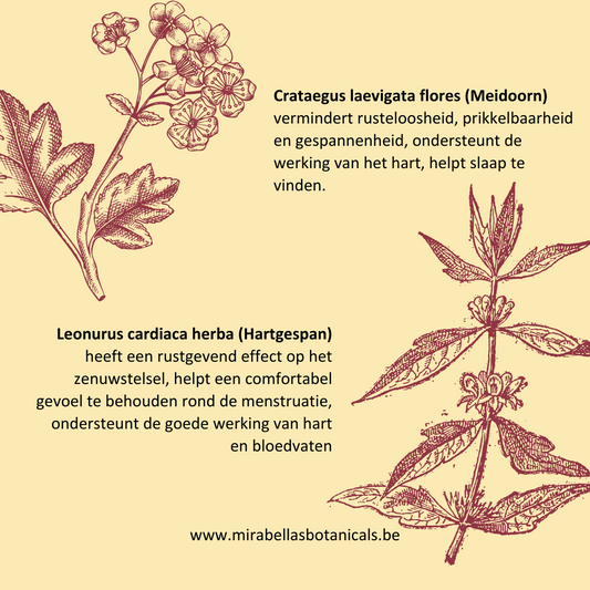 Knuffel in een flesje*