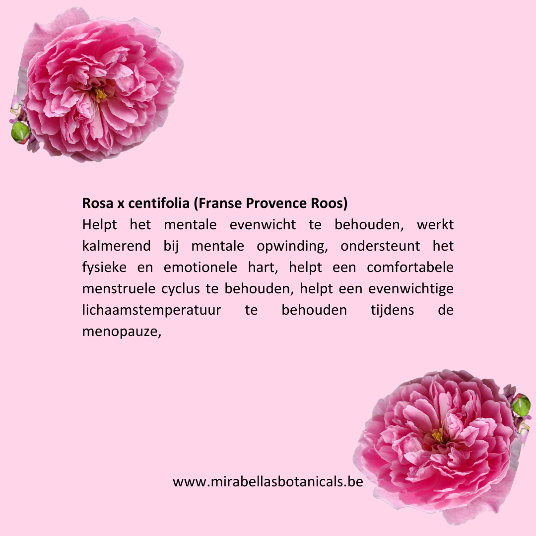 Rose Elixir