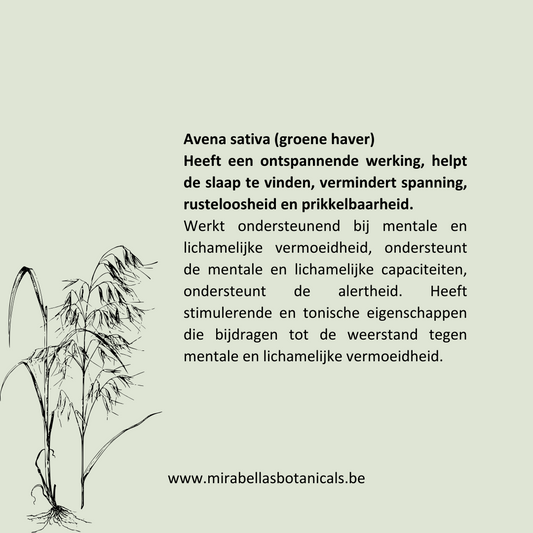 Groene Haver Elixir (Milky Oats)