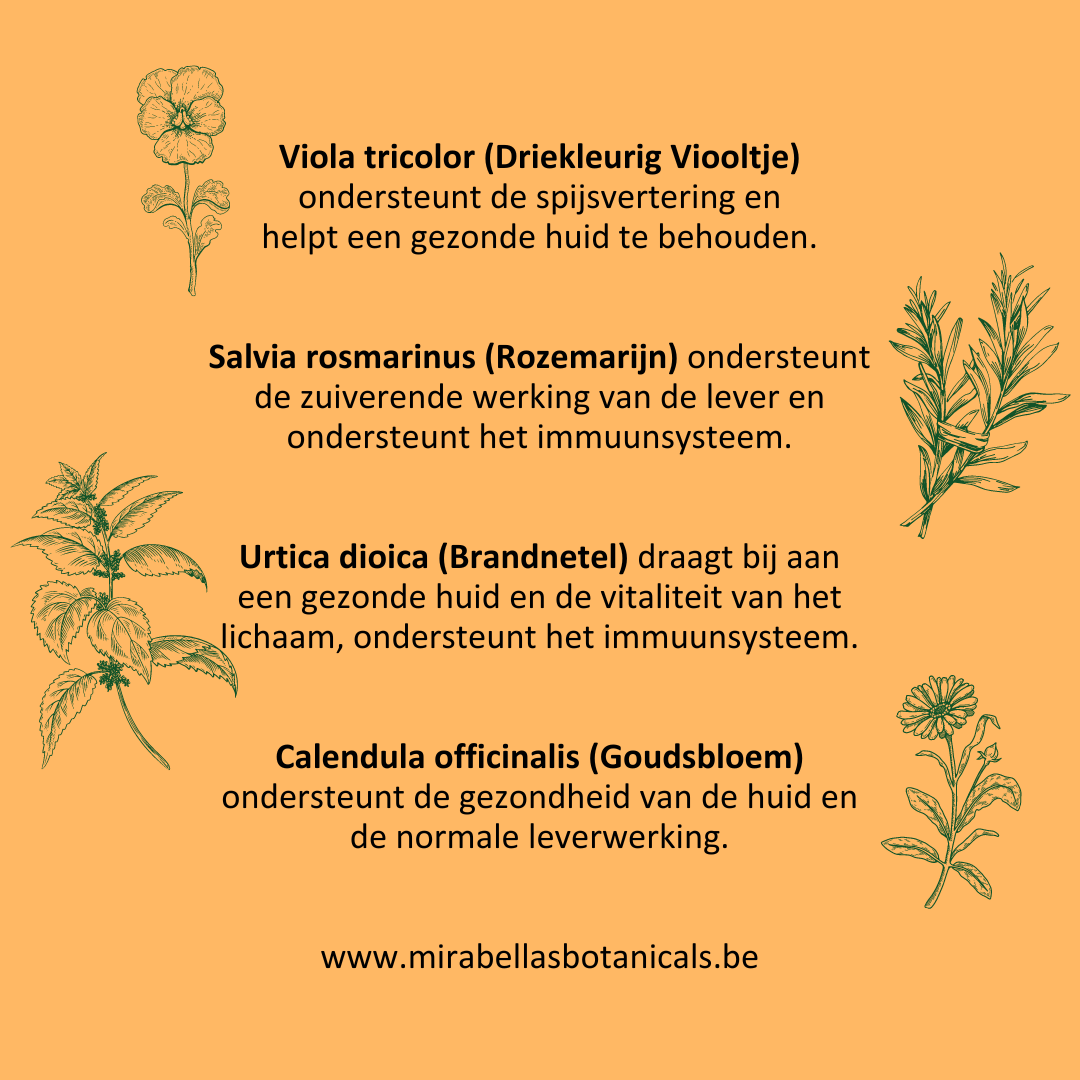 Liver and Lymph Elixir