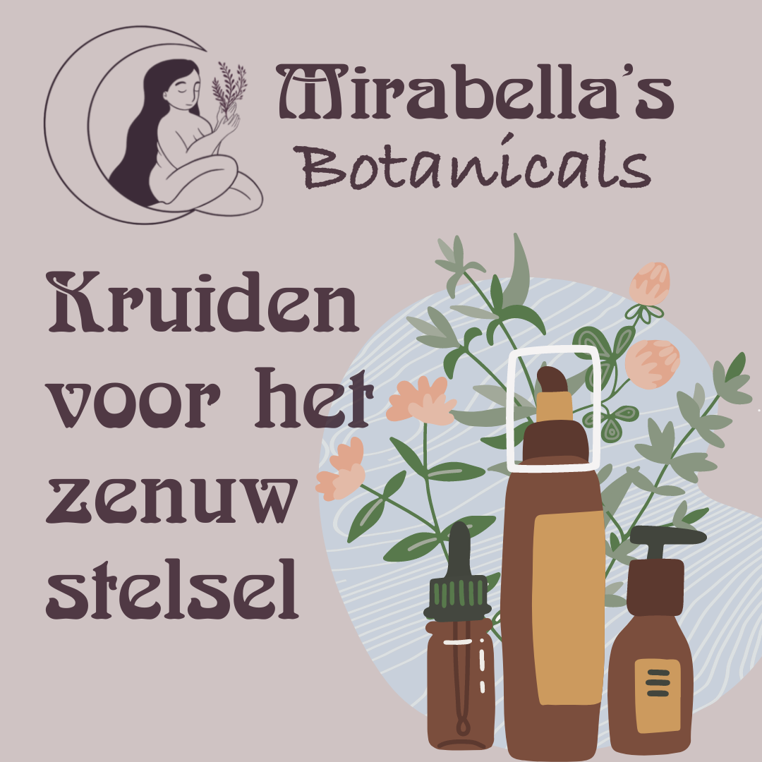 Herbs for the Nervous System - workshop - Sat 24/05/2025 - Zoersel