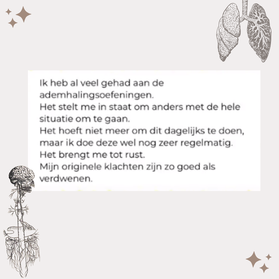 One day Retreat - Verwen je Nervus Vagus - 11/11/2023