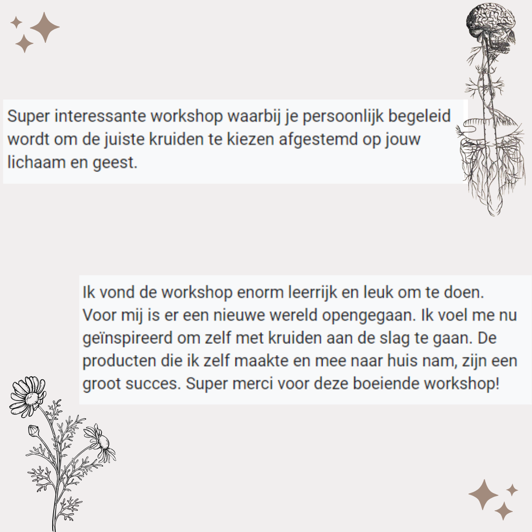 One day Retreat - Verwen je Nervus Vagus - 11/11/2023