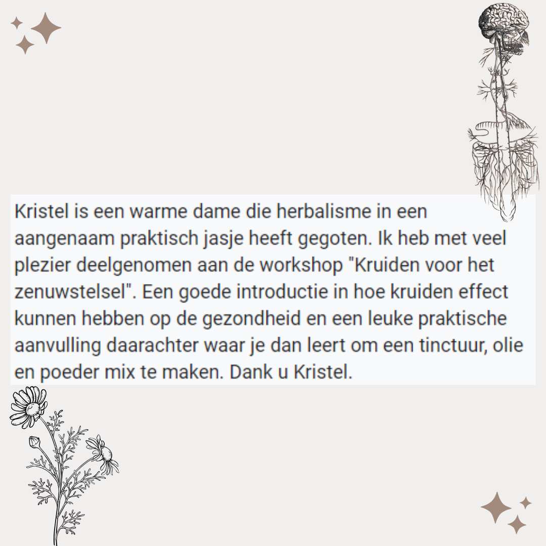 One day Retreat - Verwen je Nervus Vagus - 11/11/2023