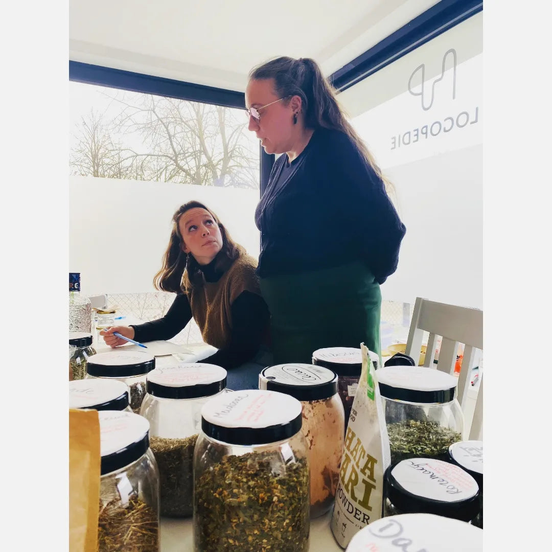 Herbs for the Nervous System - workshop - Sat 24/05/2025 - Zoersel