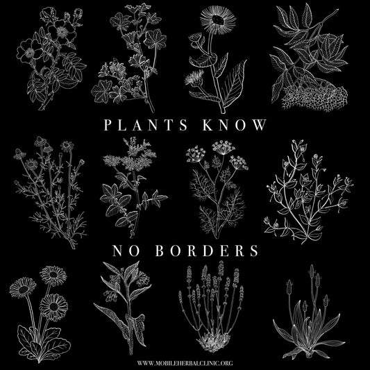 Theedoek - Plants Know No Borders - Fundraiser