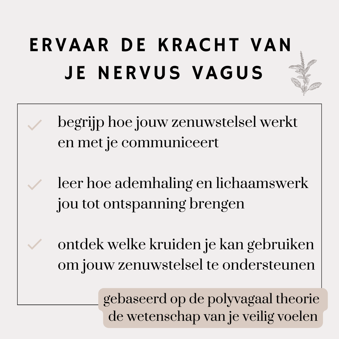 One day Retreat - Verwen je Nervus Vagus - 11/11/2023