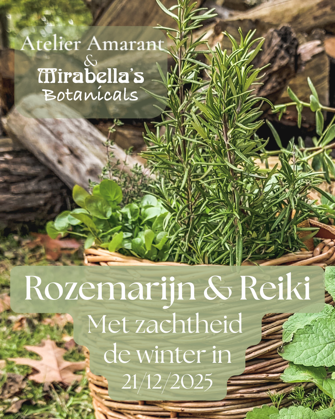 Rozemarijn & Reiki - zo 21/12/2025 - Antwerpen - Met Sanne van Atelier Amarant