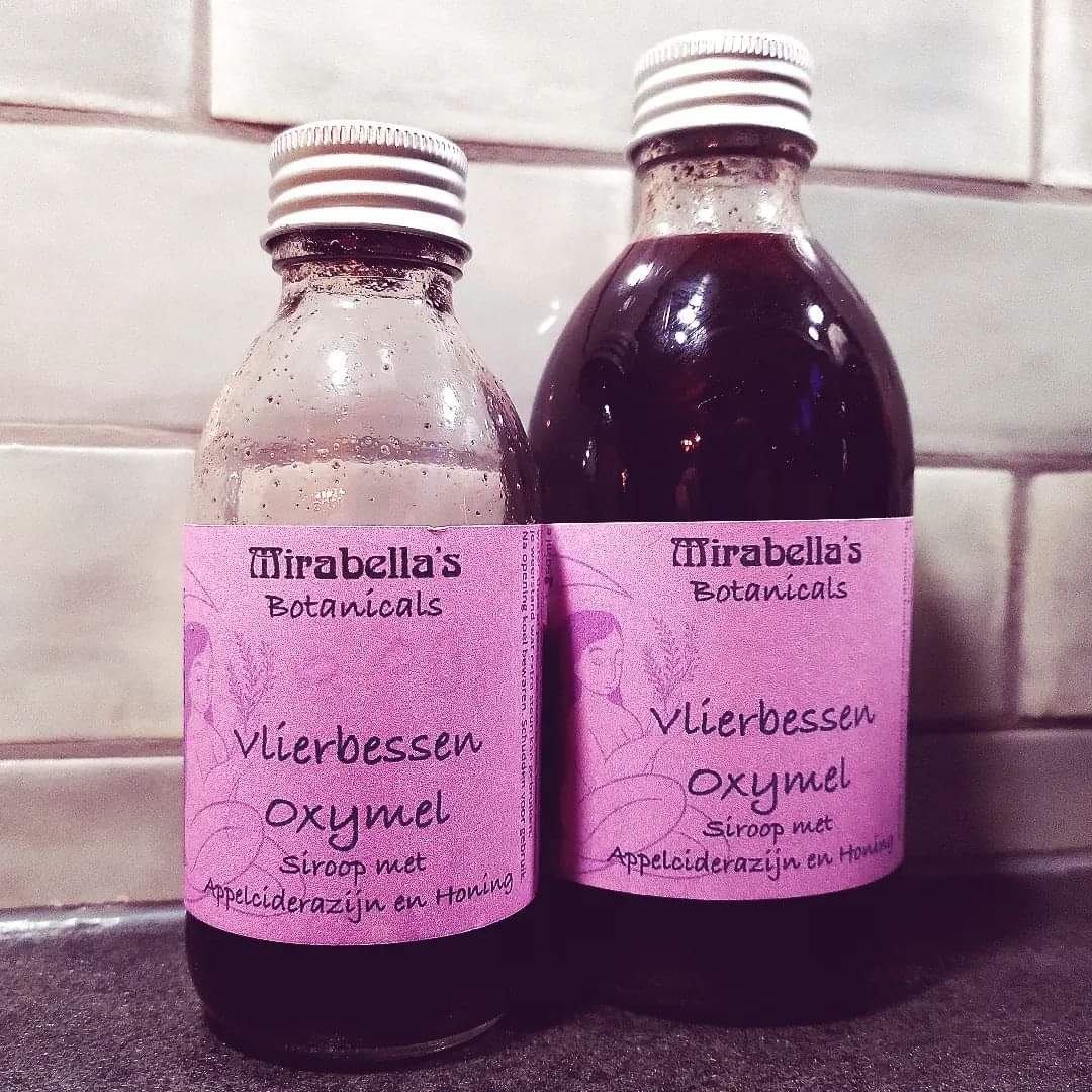 Elderberry Oxymel