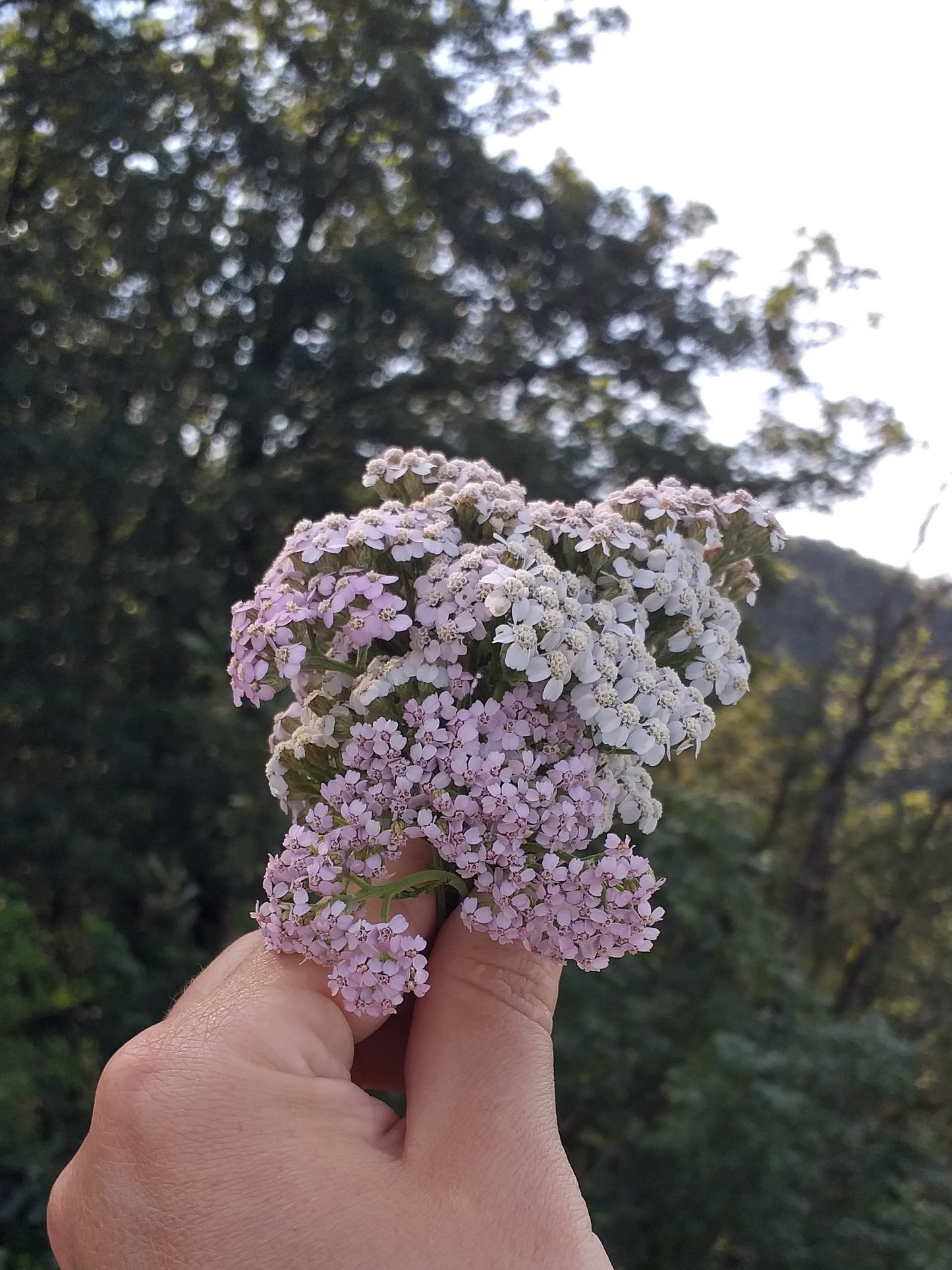 Smoke Wand - Custom Order