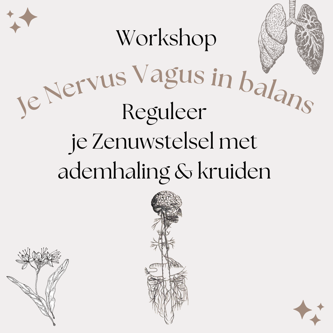 Je Nervus Vagus in Balans - zat 04/03/2023 - Temse
