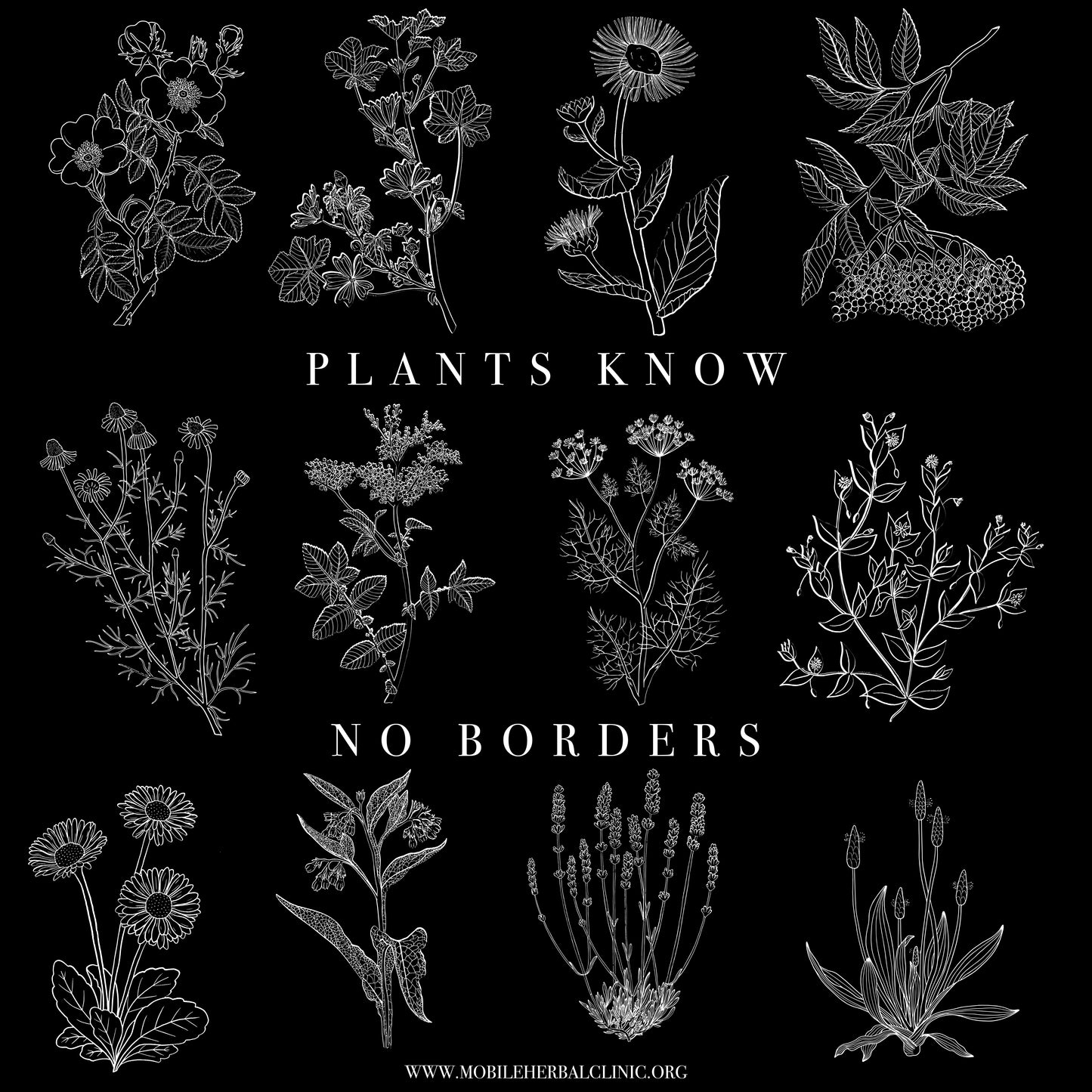 Theedoek - Plants Know No Borders - Fundraiser
