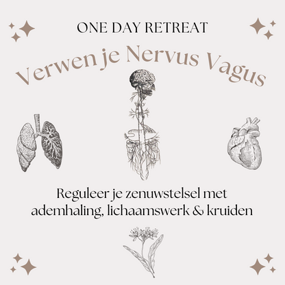 One day Retreat - Verwen je Nervus Vagus - 11/11/2023