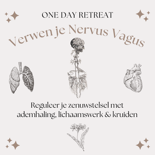 One Day Retreat - Verwen je Nervus Vagus - 12/05/2024