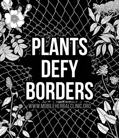 Tea Towel (Trio Pack) - Plants Defy Borders - Fundraiser
