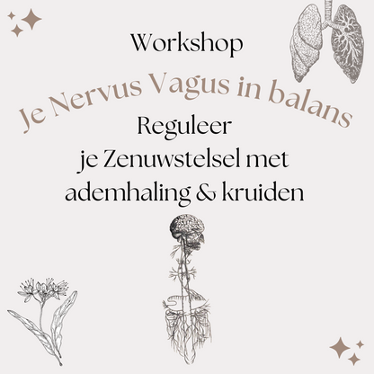 Je Nervus Vagus in Balans - zat 01/04/2023 - Temse