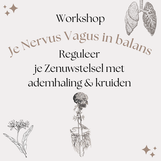 Je Nervus Vagus in Balans - zon 04/06/2023 - Antwerpen
